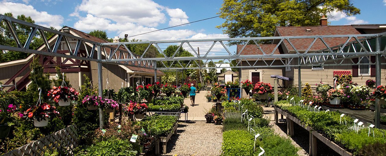 our-nursery